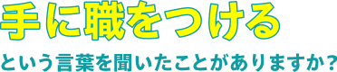 手に職をつけつという言葉を聞いたことがありますか？