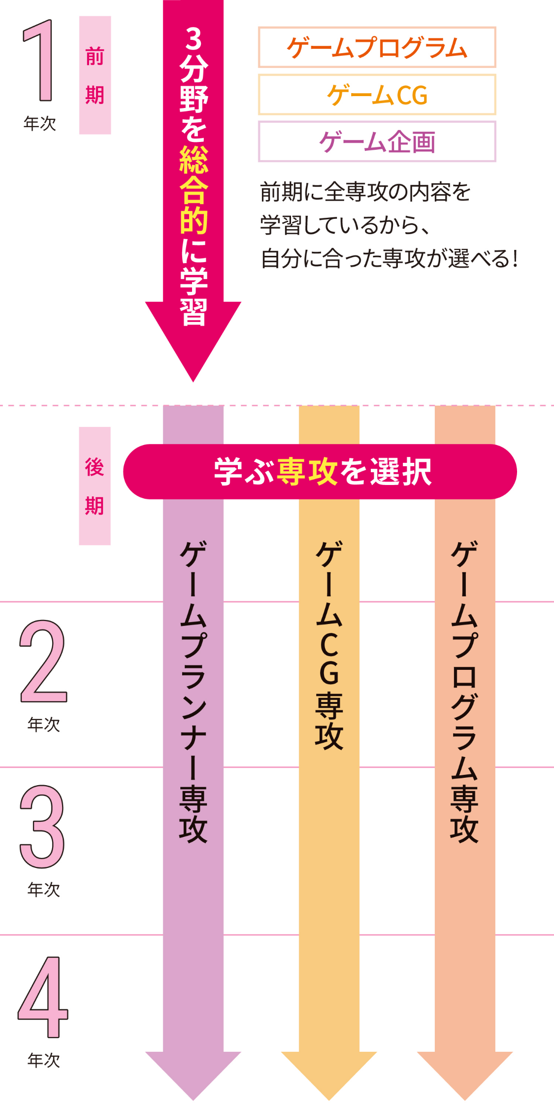 4年間の学びの流れ