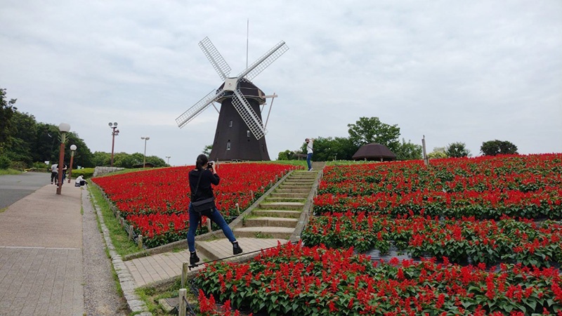 フォトグラファサークルで花博公園行ってきました！