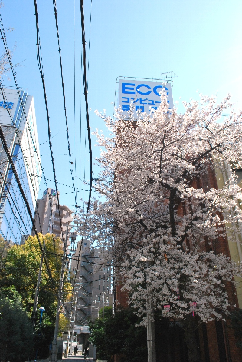 【一人暮らし】遠方から一人暮らしをしながらＥＣＣコンピュータ専門学校に通う新入生たち。